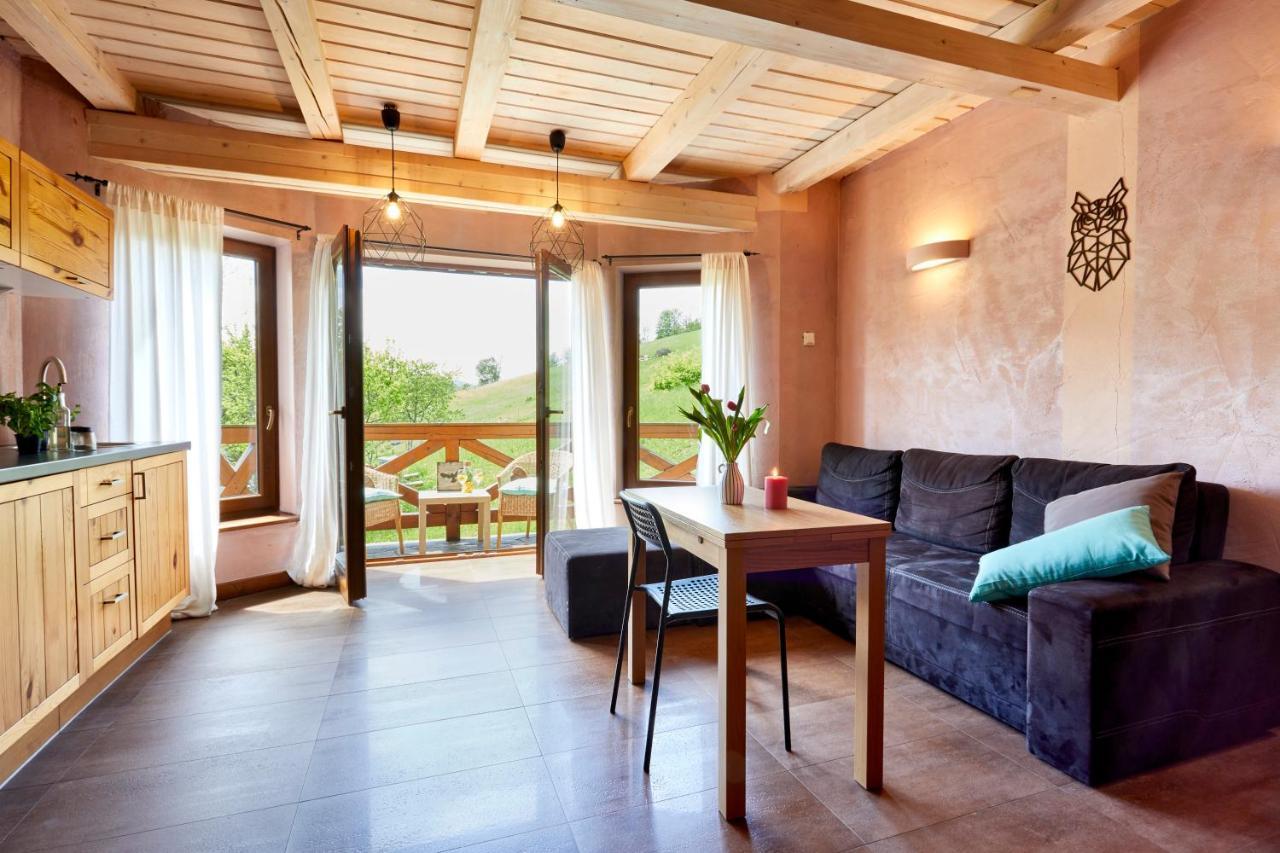 Apartamenty Na Poludniowym Stoku Wierchomla Mala Ngoại thất bức ảnh