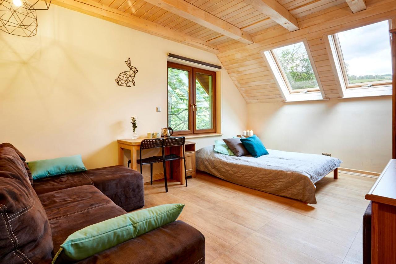 Apartamenty Na Poludniowym Stoku Wierchomla Mala Ngoại thất bức ảnh
